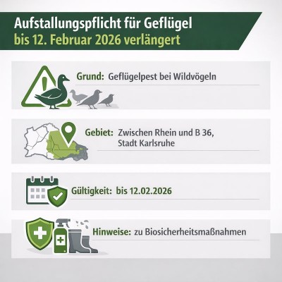 Karlsruhe verlängert Geflügel-Aufstallung entlang des Rheins